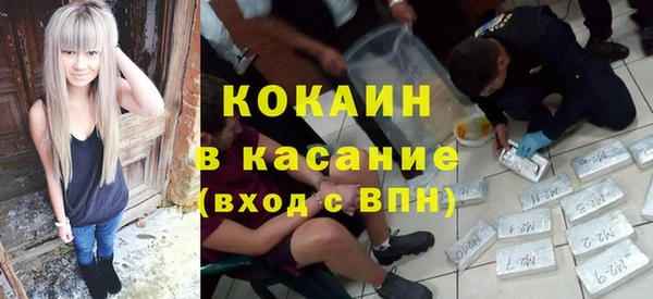 дживик Абинск