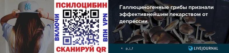 Галлюциногенные грибы Psilocybine cubensis  купить закладку  Гусиноозёрск 